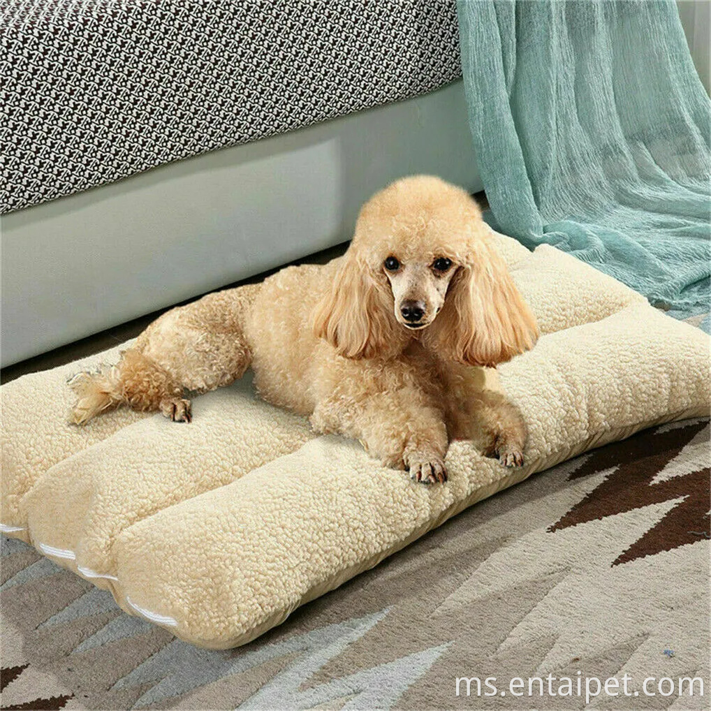 Katil Bed Mewah Tilam Anjing Kucing Bantal Tikar